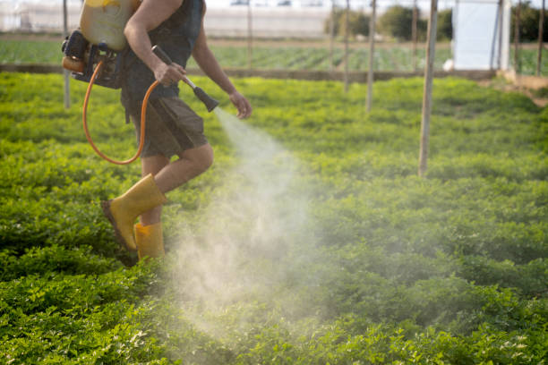 Best Wasp Removal Services  in Pasco, WA