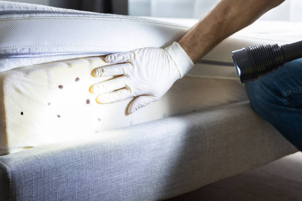Best Pest Inspection Near Me  in Pasco, WA